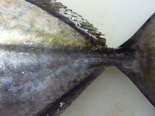 001_03.jpg