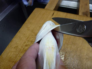 002-1.jpg