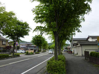004-02.jpg