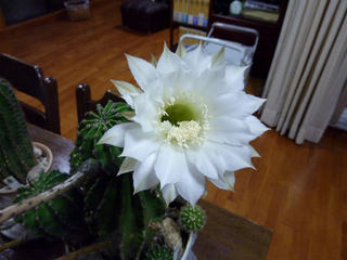 004_02.jpg