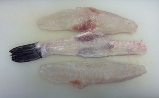とらふぐは身欠きなら002.JPG