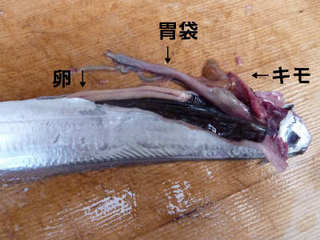 img001.jpg