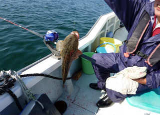 img001.jpg