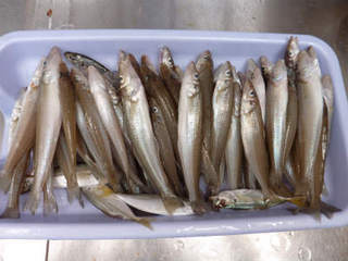 img001.jpg