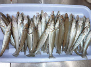 img001.jpg