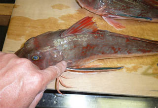 img002.jpg