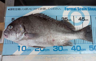 img002.jpg