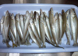 img002.jpg