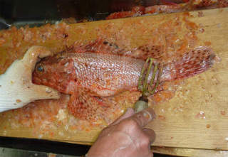 img002.jpg
