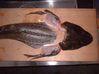 img002.jpg