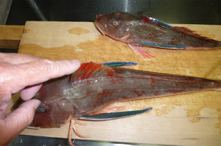 img003.jpg