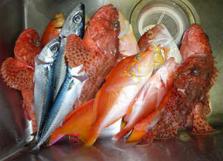 img003.jpg