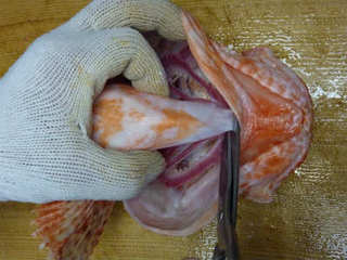 img003.jpg