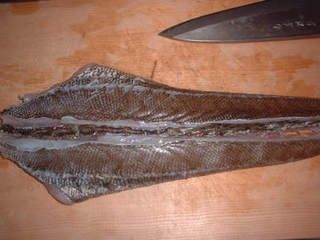 img003.jpg