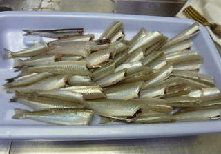 img004.jpg
