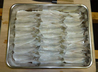 img004.jpg
