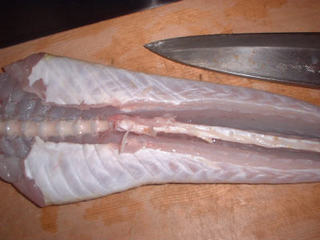 img004.jpg