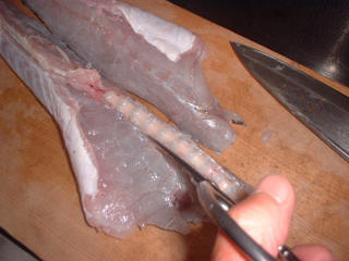 img005.jpg