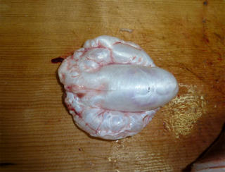 img006.jpg