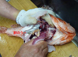 img007.jpg