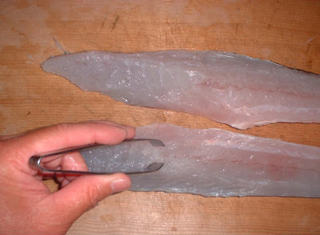 img008.jpg