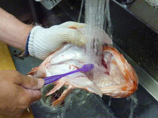 img010.jpg