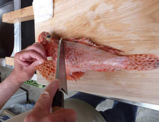 img011.jpg