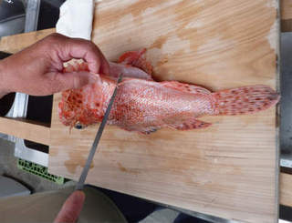 img012.jpg