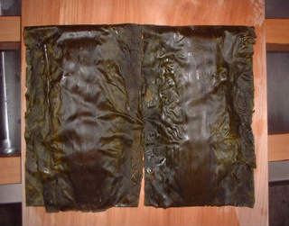 img013.jpg