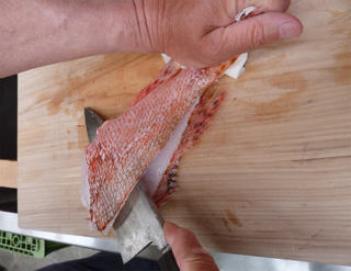 img016.jpg