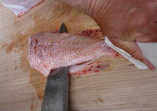 img017.jpg