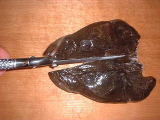 img020.jpg