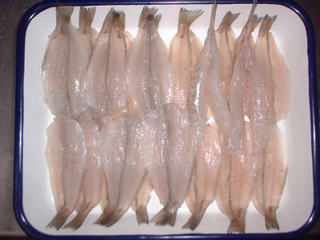 img022.jpg