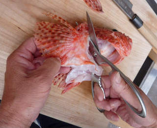 img023.jpg