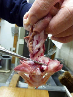 img025.jpg